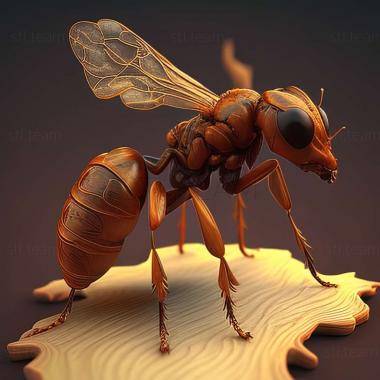 3D model Lasius reginae (STL)